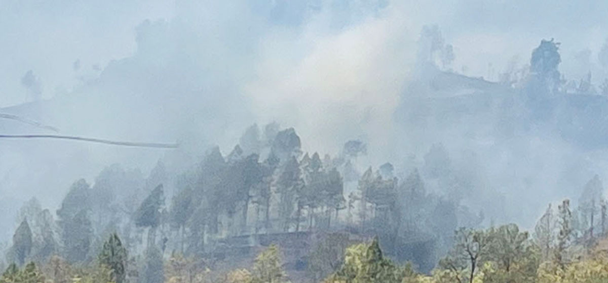 2,174 hectares of forest destroyed in Baglung wildfires