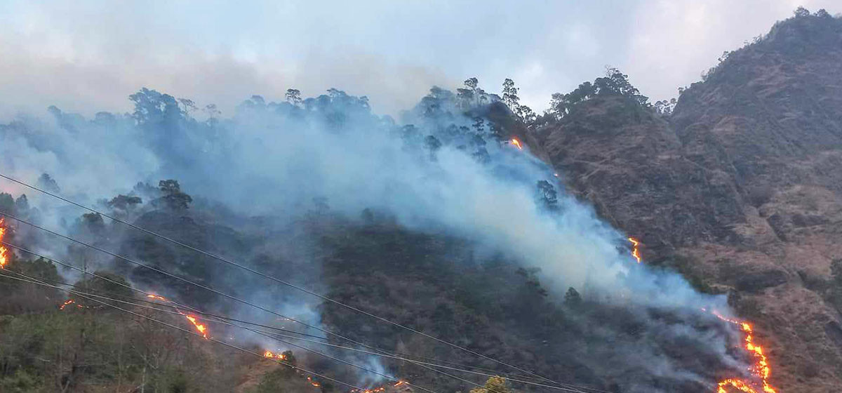 70 community and national forests affected by fire in Parbat till Wednesday