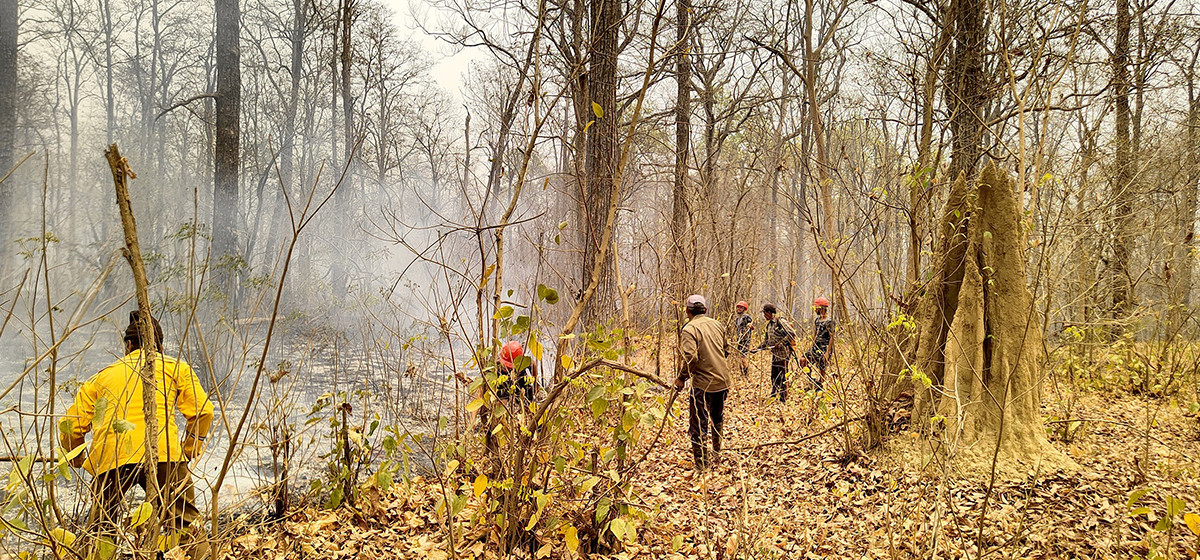 Over 5,000 hectares of forest burning in Banke