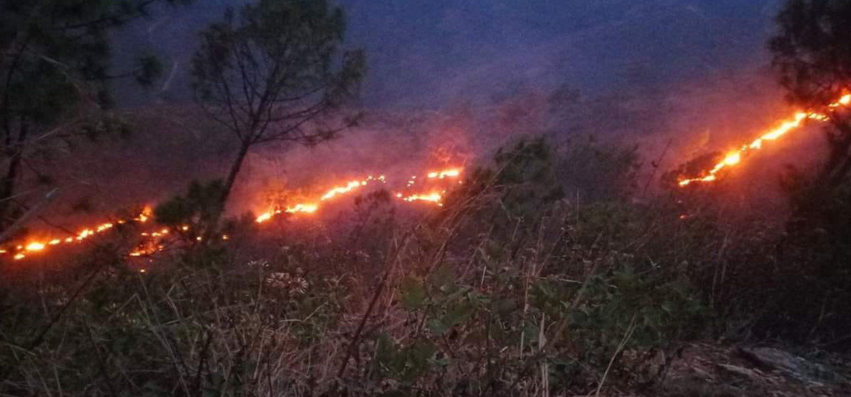 Forest fire destroys 4,500 hectares of forest area in Ramechhap