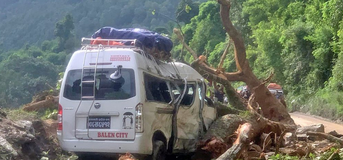 Tree falls on moving microbus in Dhading, seven injured