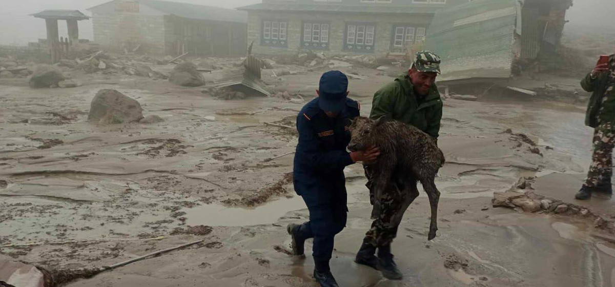 Security personnel involved in rescue efforts during Thame flood awarded