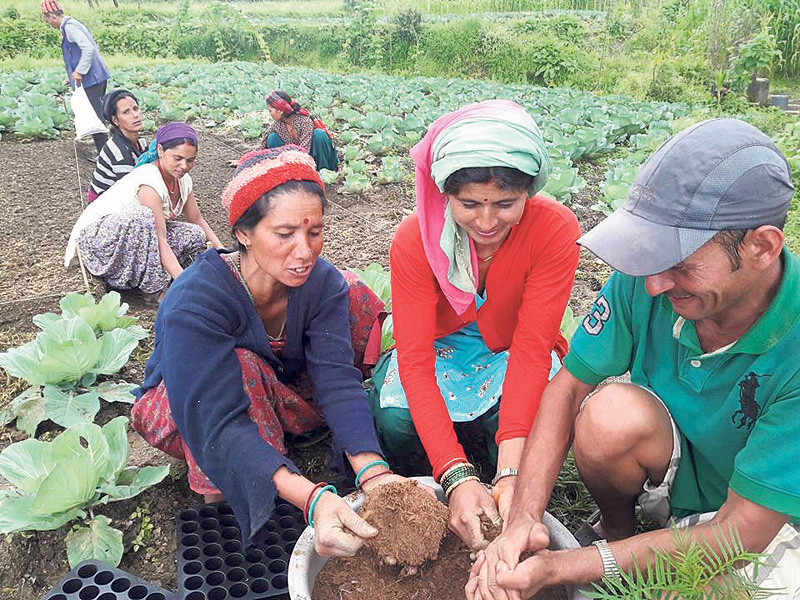 Women-friendly agriculture