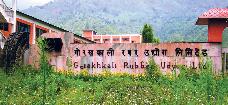 Govt preparing to privatize Gorakhali Rubber