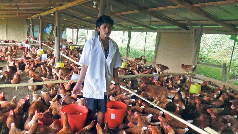 Khotang goes self-relaint in eggs , meat production