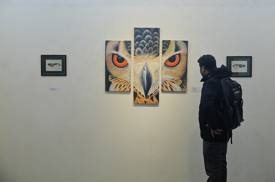 Exhibition on Nepal's birds underway at Nepal Art Council (with photo feature)