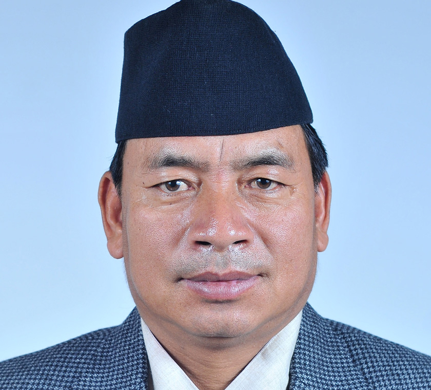 Veep  Pun thanks Nepali people for making local polls a success