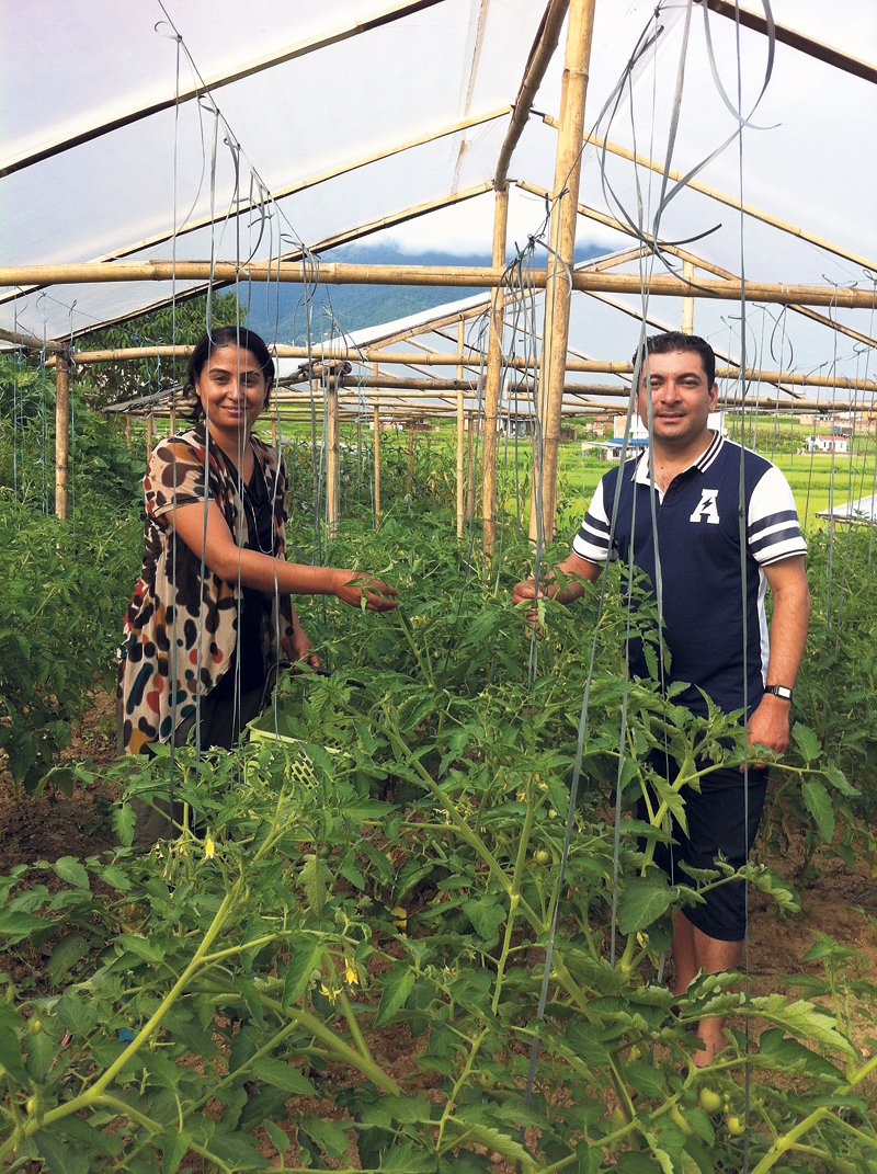 Educated couple opts for organic farming for a cause