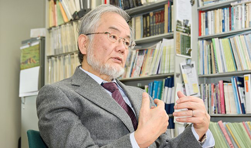 Japan's Ohsumi wins Nobel medicine prize