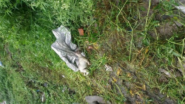 Body of baby girl found at Sinamangal