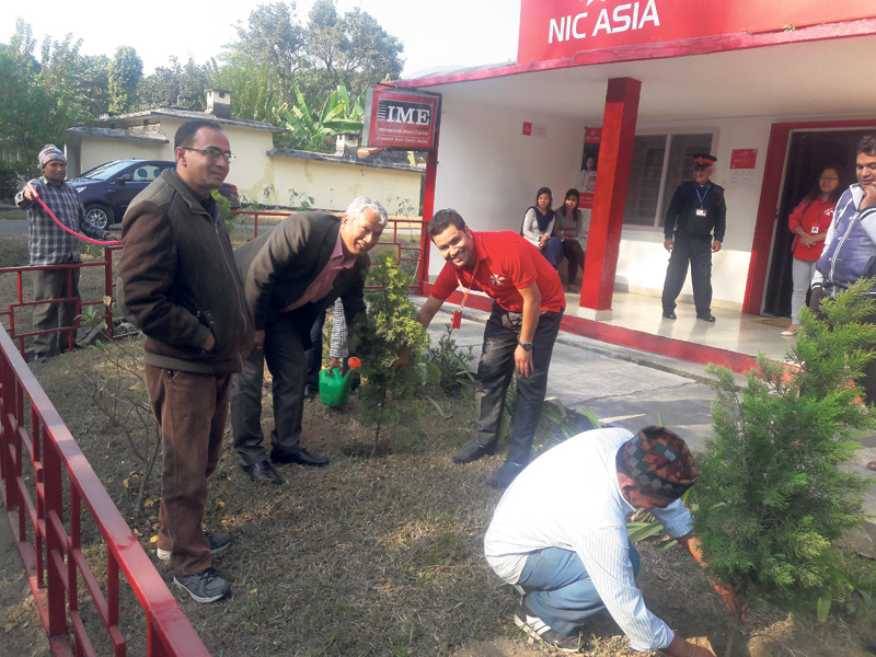 NIC Asia organizes tree plantation