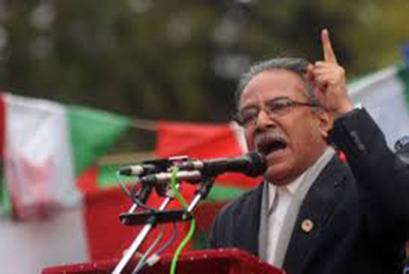Dahal assigned to select members in vacant posts