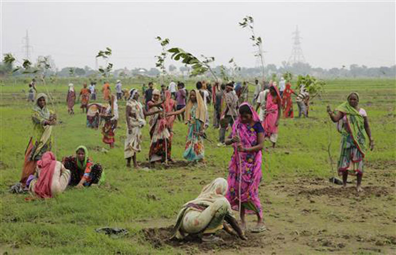 India state aims to plant a record 50 million trees in a day