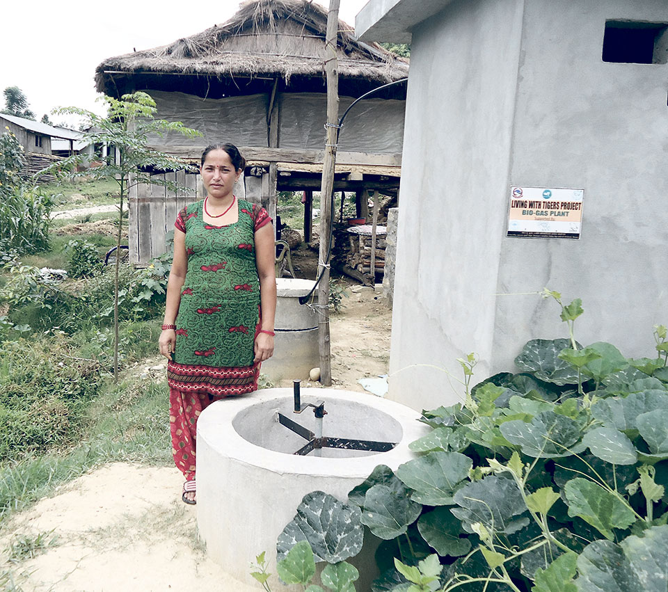 Humans-wildlife conflict eases in Chitwan