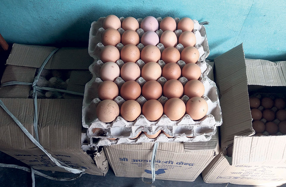 NEPA determines egg prices to prevent further price drops