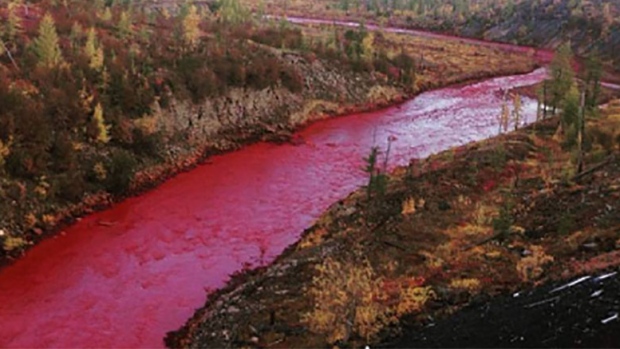Russia starts investigation after river turns blood red