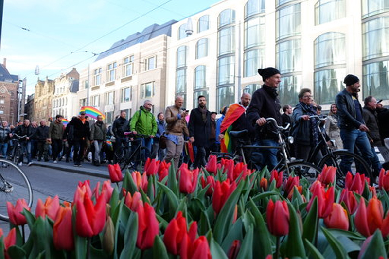 Hundreds march in Amsterdam to support beaten gay couple