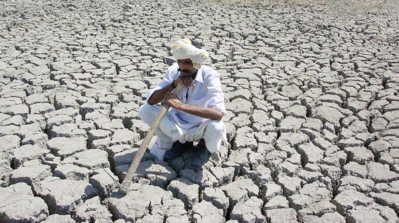 Study finds India at risk of food shortage due to climate change