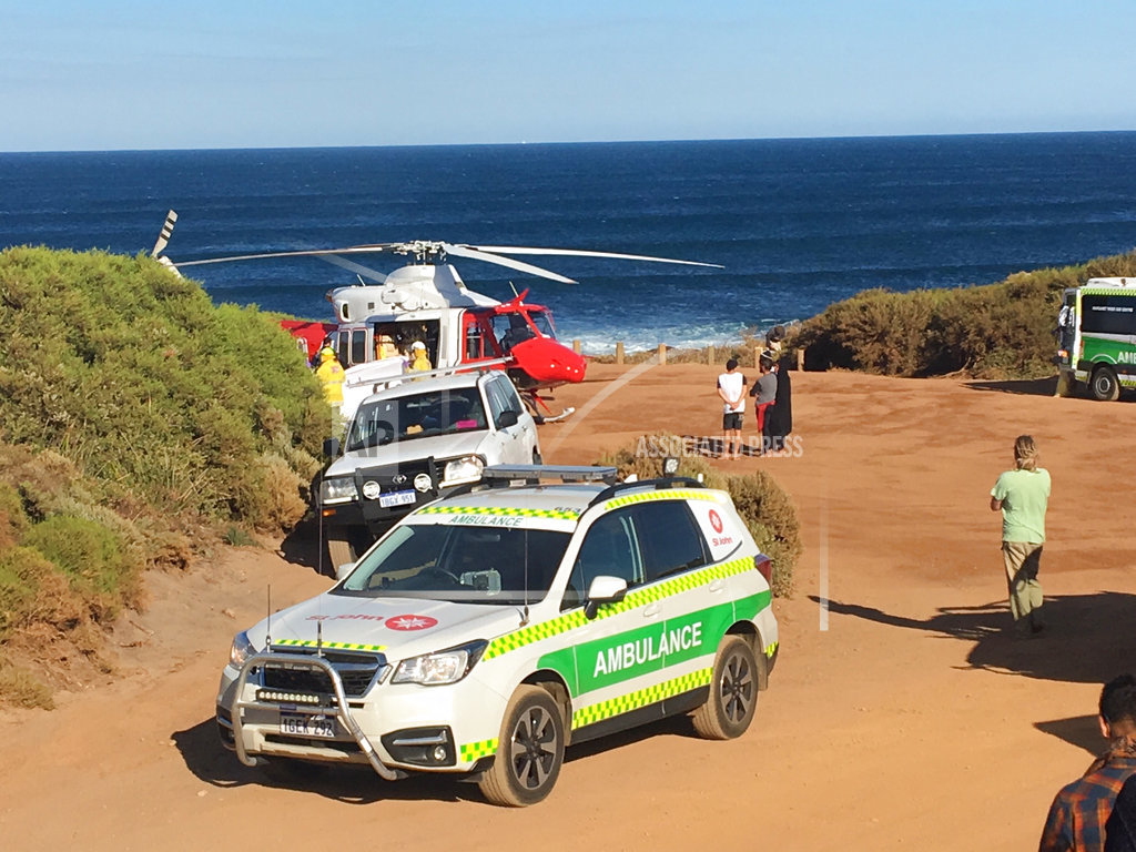 Surfer mauled by shark swims to shore despite leg injuries