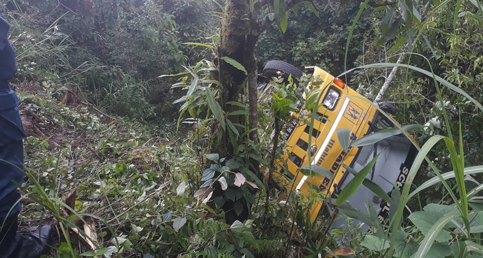 14 children injured as school bus veers off the road