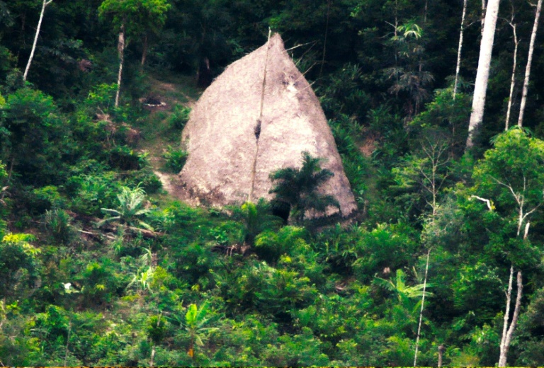 Isolated tribe members in Brazil spotted in drone footage