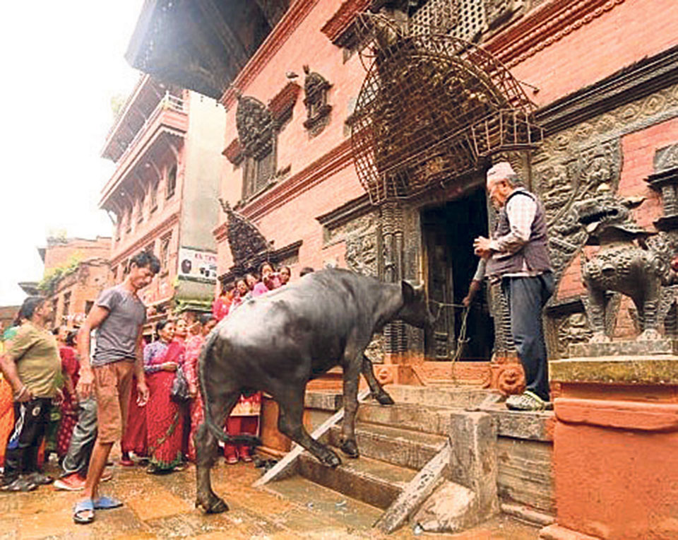 'Khame' brought in Navadurga Temple