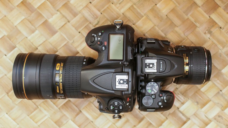 From wide angle to telephoto, here are the best lenses for your Nikon DSLR