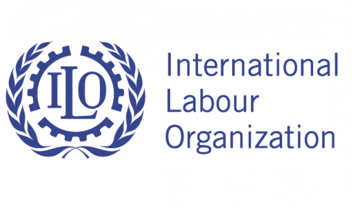 'Homework needed to ratify ILO C189, UN C1990'
