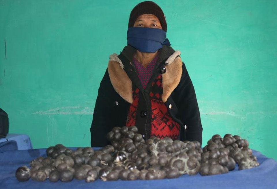 Woman arrested with 5 kg of hashish