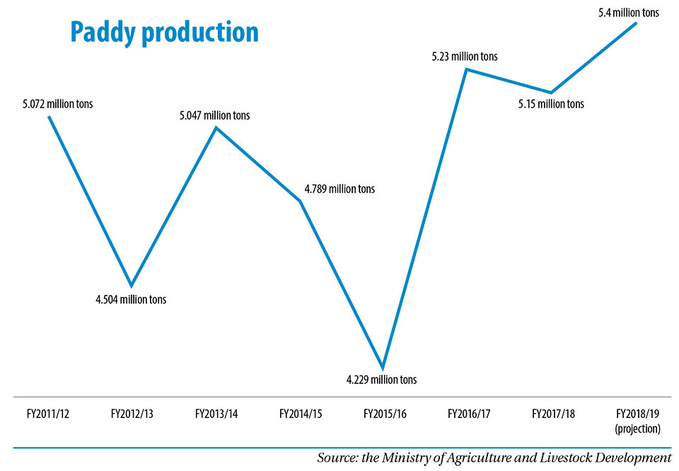 Paddy production seen increasing to 5.4 million tons