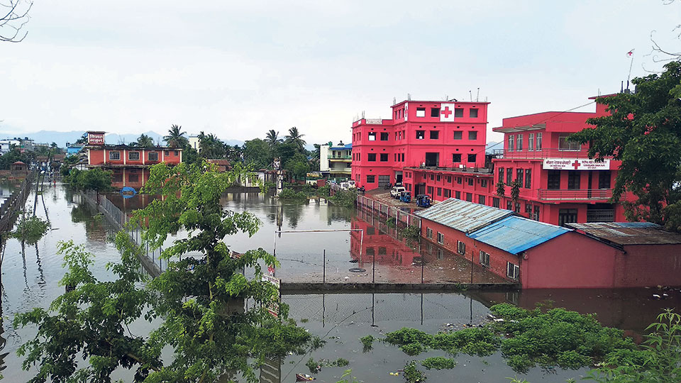 Heavy rainfall inundates Damak Bazar