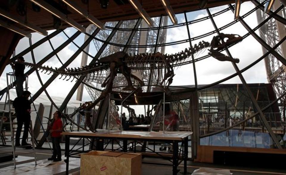 Rare dinosaur skeleton sells for two million euros