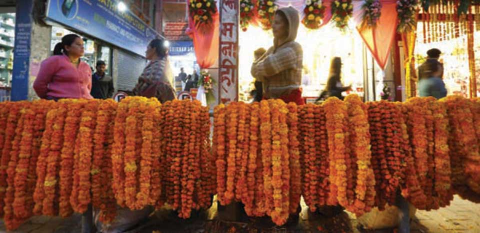 Flowers and fruits of Tihar