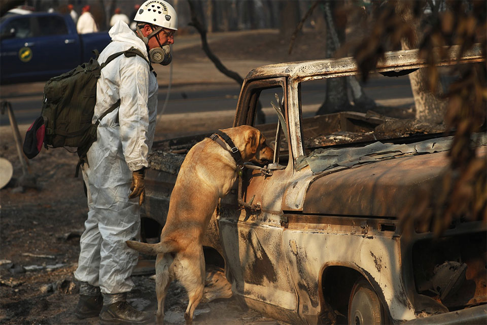 Rain could hinder search for victims of California wildfire