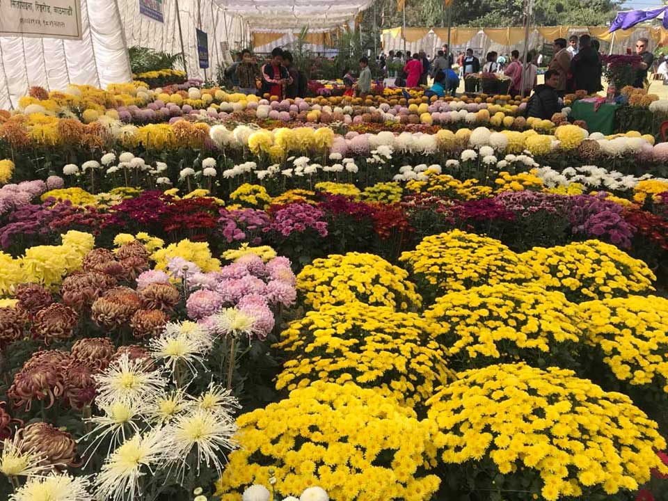 Godavari Flower Expo 2018 kicks off