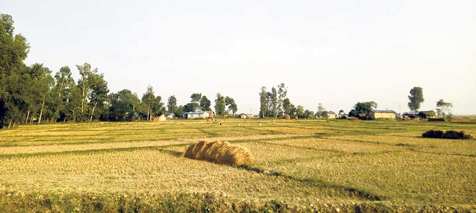 No land ownership certificate in village of 109 households
