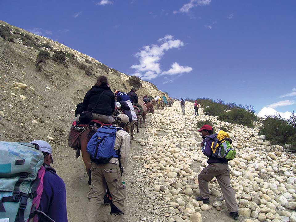 Porter Policy & Trekking Guides