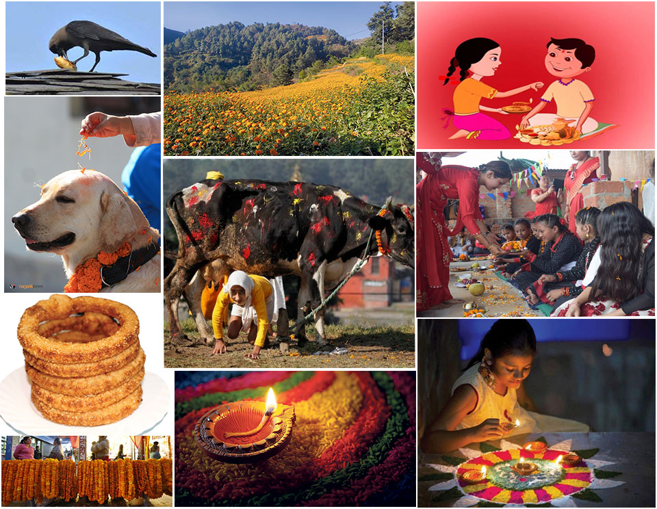 Tihar festival begins from today