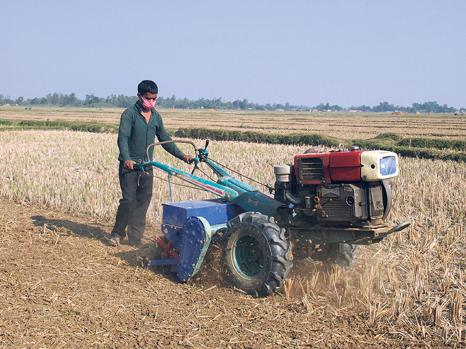 Bhaktapur farmers face fertilizer shortage