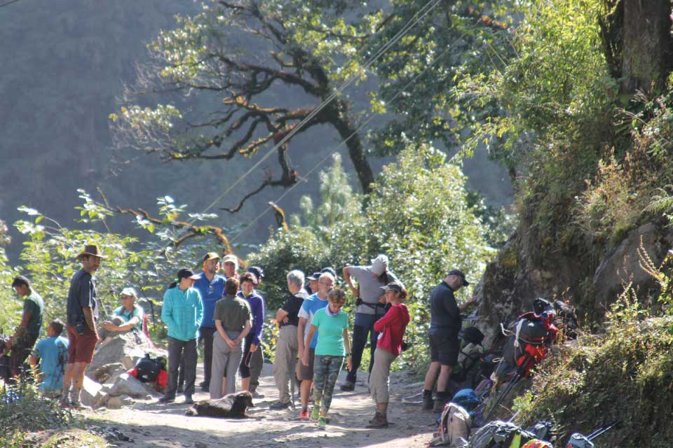 Annapurna foot trail sees influx of trekkers