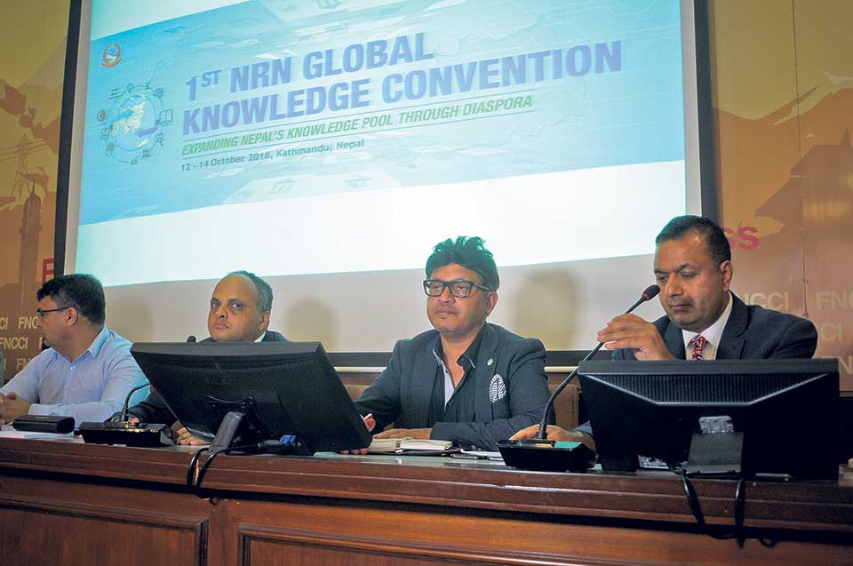 NRN experts to discuss ways to help govt’s development efforts