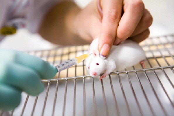 California signs bill banning sale of animal-tested cosmetics