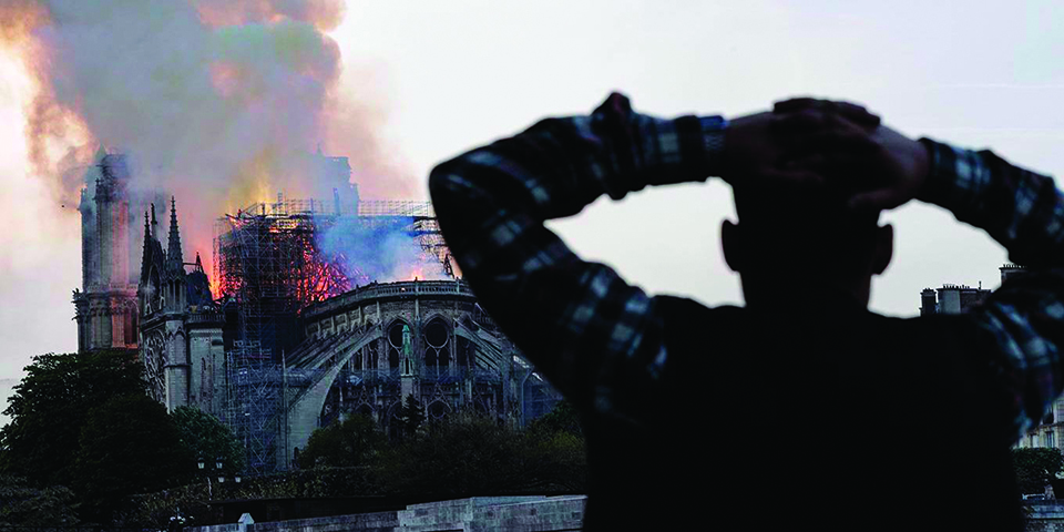 Emotion of Notre Dame