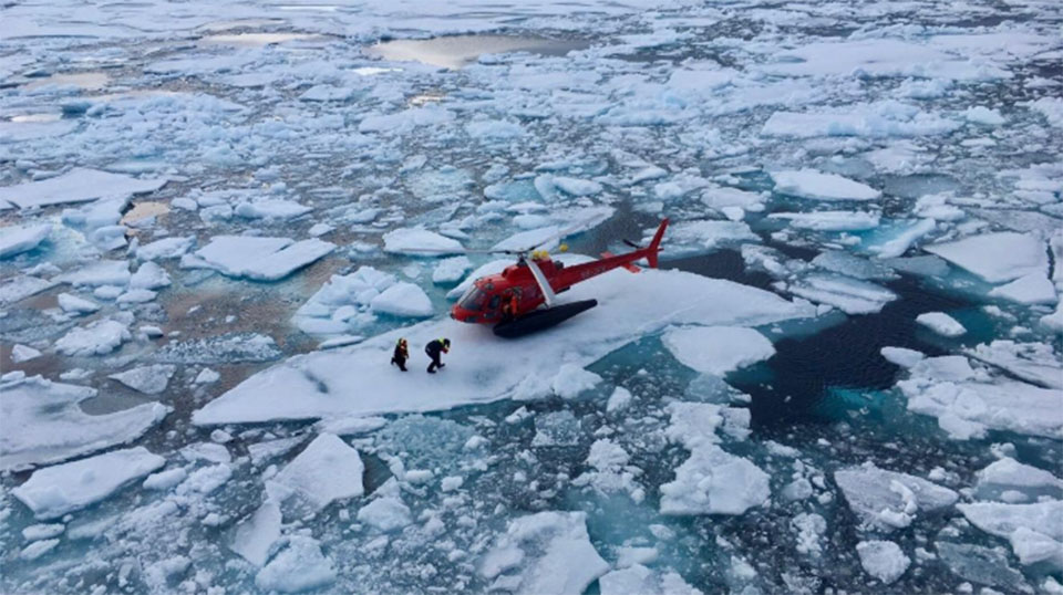 An Arctic 'miracle': Icebreaker salvages lost recordings of Beluga whales