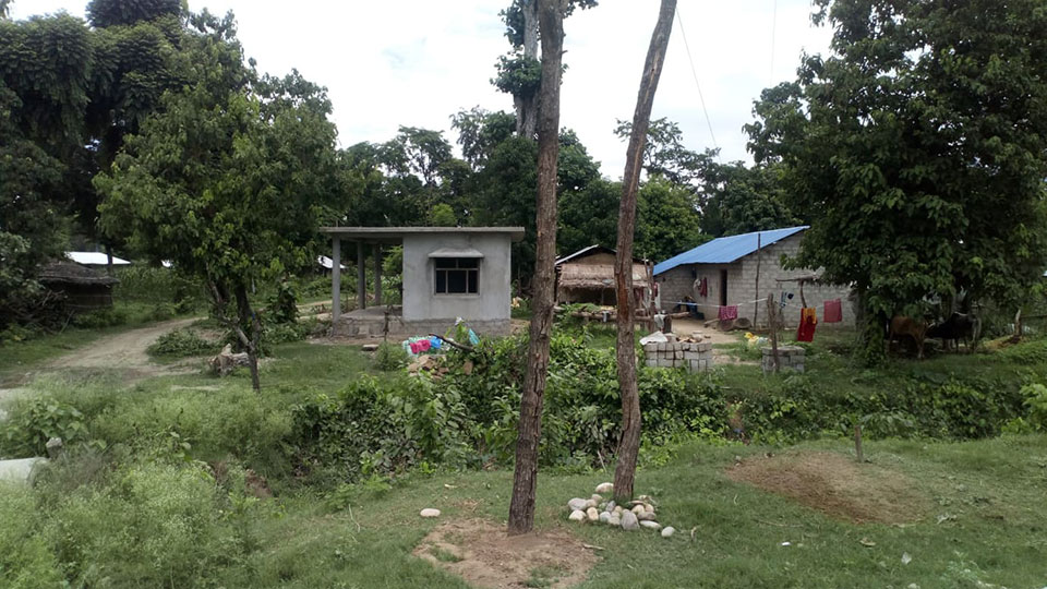 Forest encroachment in the name of flood victims