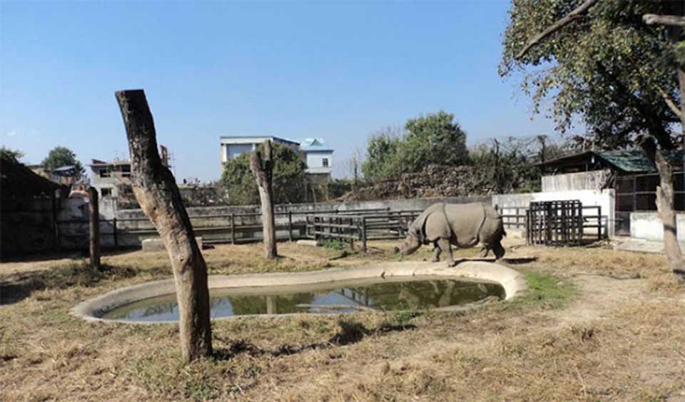 Central zoo animals getting new homes