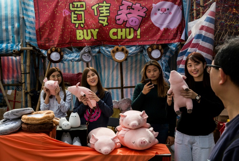 Chinese communities around world welcome Year of the Pig