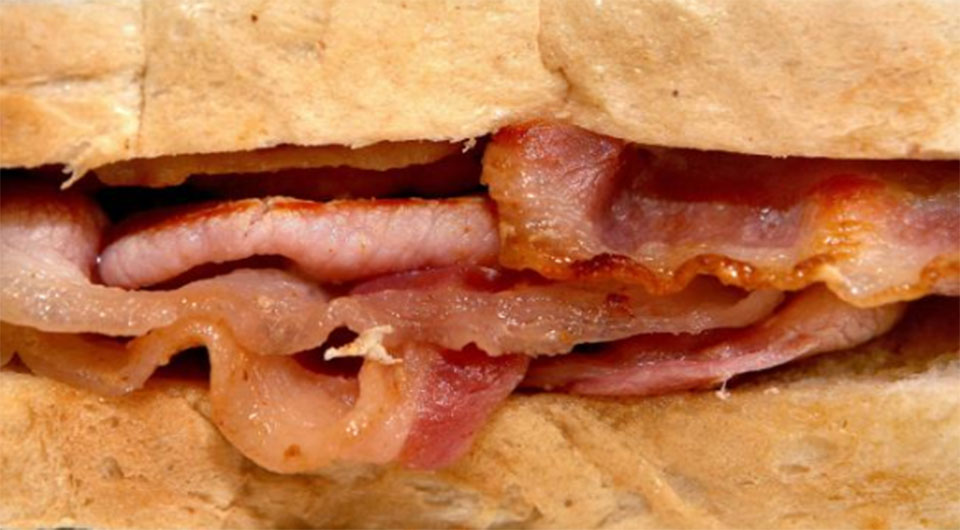 Scientist criticizes lack of response to processed meat cancer risk study