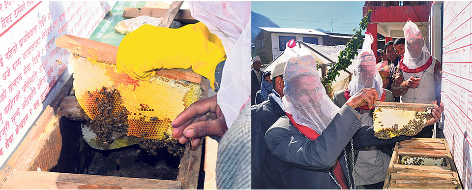 Herb collection, climate change affect bee-keeping in Jumla