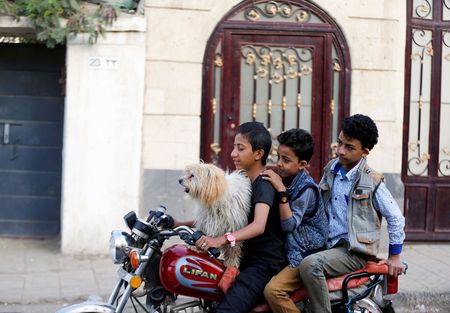 Yemeni pet shop survives despite the odds